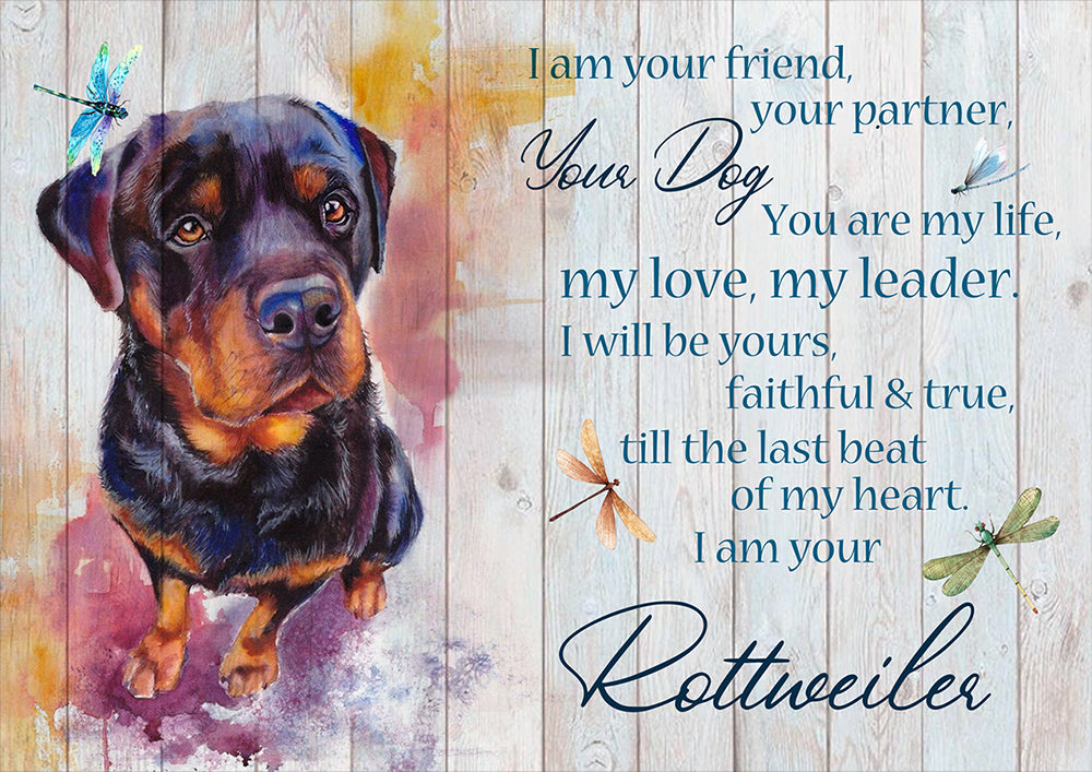 Rottweiler dog I Am Your Friend