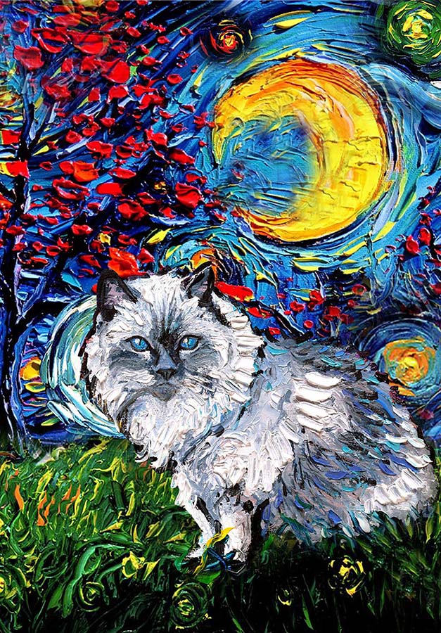 Ragdoll  Cat Cat Starry Night Style Halloween-TT1008