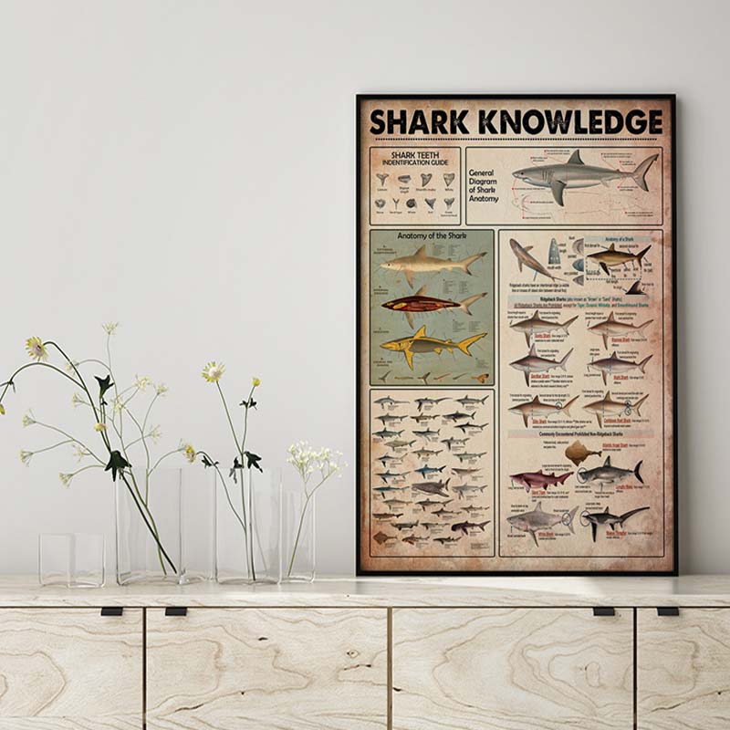 Skitongifts Wall Decoration, Home Decor, Decoration Room SHARK KNOWLEDGE-MH2709