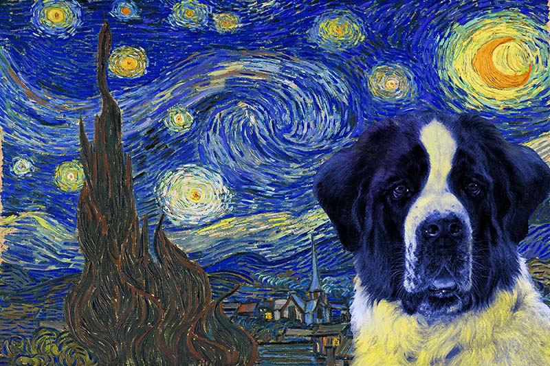 Saint Bernard Dog Van Gogh Style Starry Night-TT0409