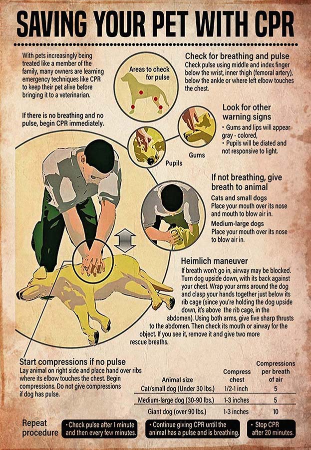 Saving Your Pet With CPR-MH2509