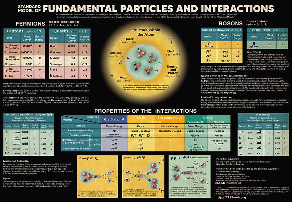 Scientist Standard Model Of Fundamental Particles And Interactions MH0309