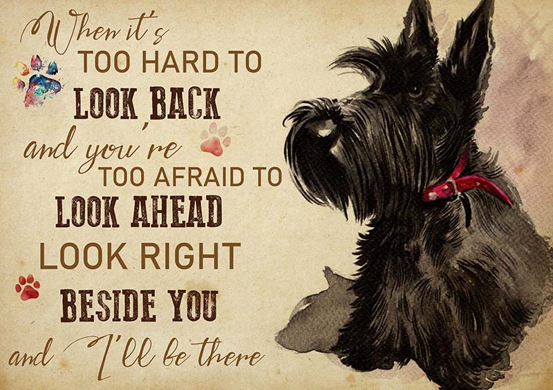 Scottish Terrier When It's Too Hard to Look Back-TT2009