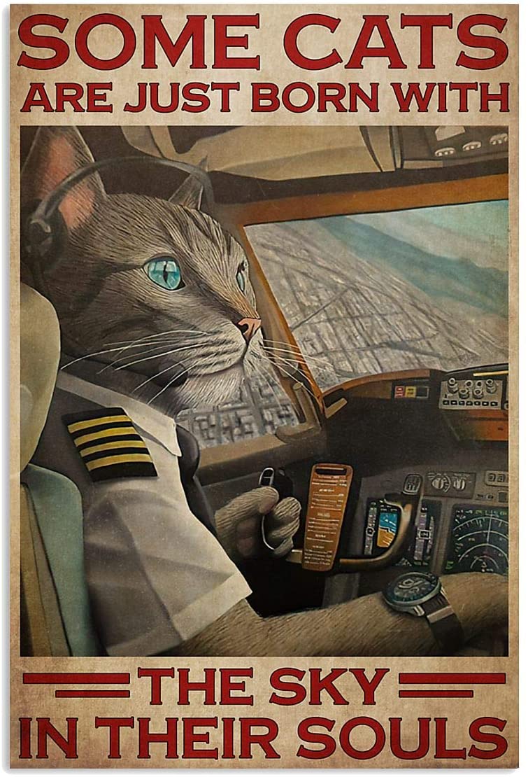 Some Cats Are Just Born With Sky In Soul Cat Pilot Airplane Fly Inspiring Quote