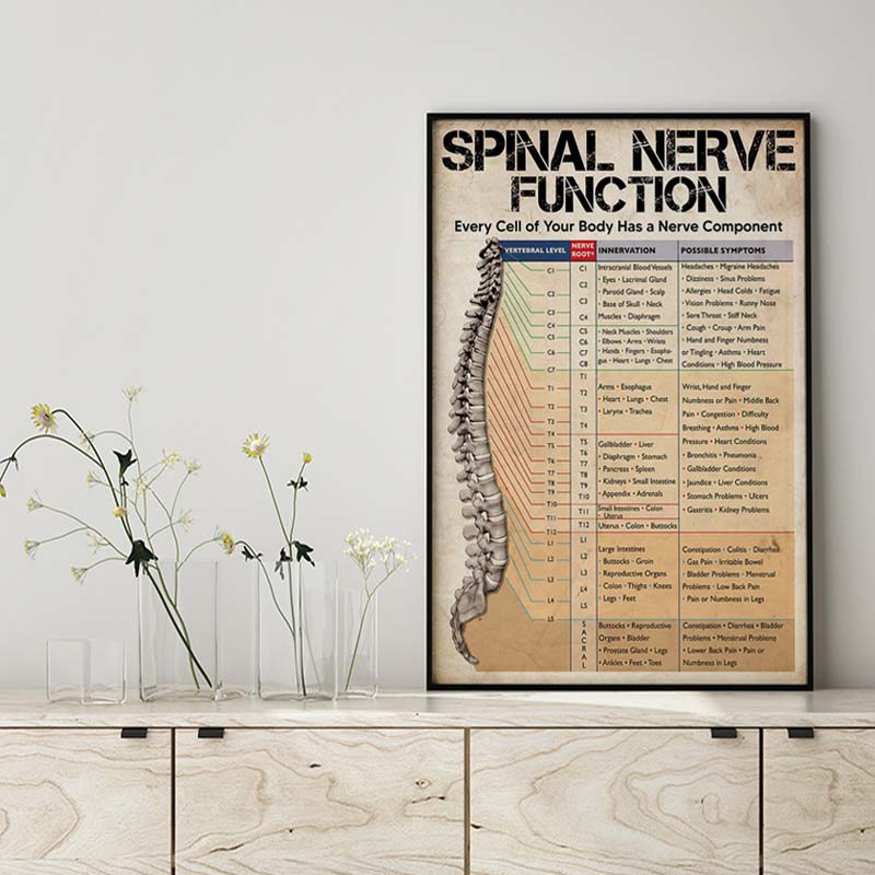 Skitongifts Wall Decoration, Home Decor, Decoration Room Spinal Nerve Function On Christmas Classroom-MH2109