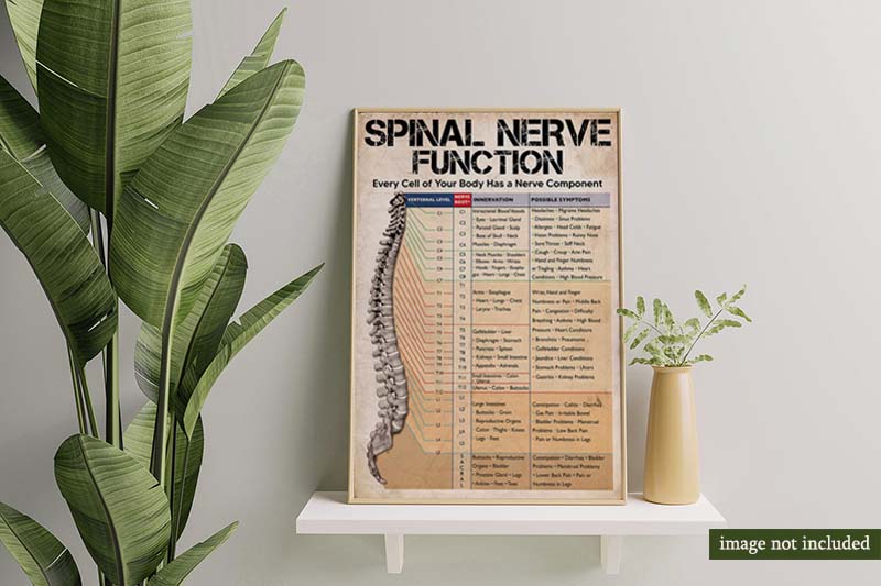 Skitongifts Wall Decoration, Home Decor, Decoration Room Spinal Nerve Function On Christmas Classroom-MH2109