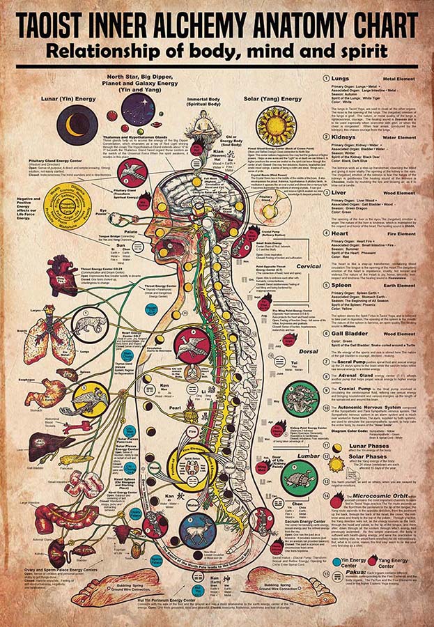 Taoist Inner Alchemy Anatomy Chart Relationship Of Body, Mind And Spirit-MH2509