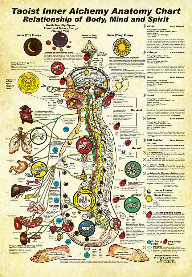 Taoist Inner Alchemy Anatomy Chart Relationship Of Body, Mind And Spirit