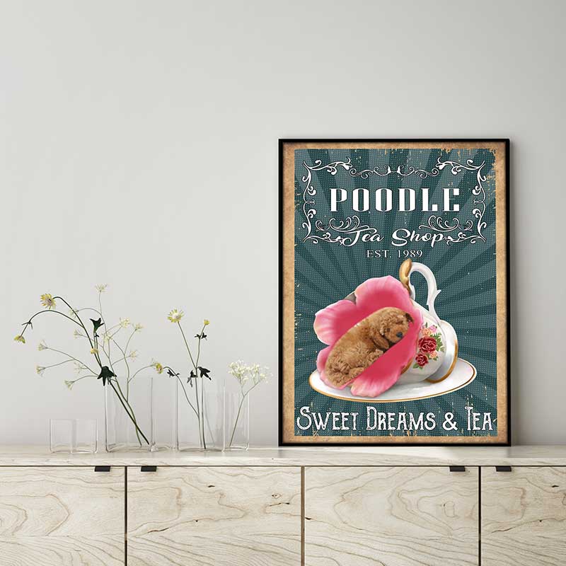 Tea-Shop-Sweet-Dreams-And-TeaDog-Poodle-VT0907