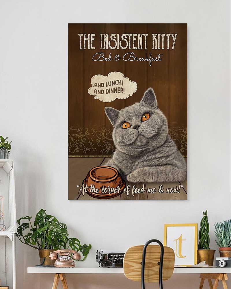 The Insistent Kitty Bed And Breakfast BRITISH SHORT HAIR-VT1606