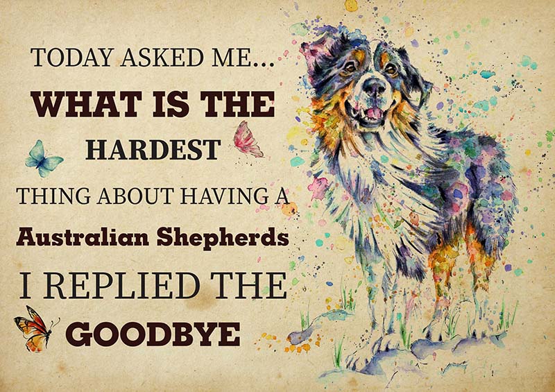 The Hardest Thing About Having An Australian Shepherds Dog I Replied The Goodbye TT2109