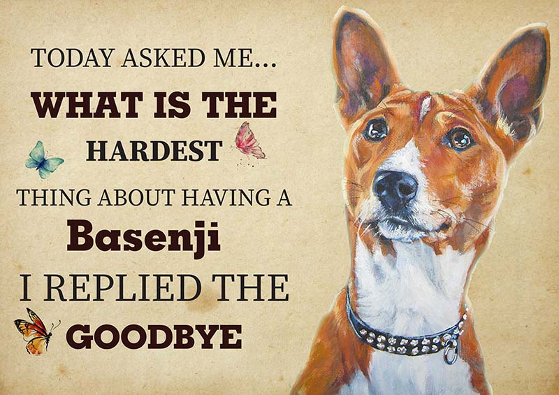 The Hardest Thing About Having A Basenji Dog I Replied The Goodbye-TT2409