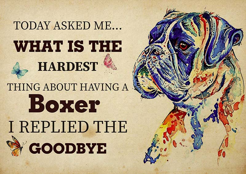 The Hardest Thing About Having A Boxer Dog I Replied The Goodbye-TT2409