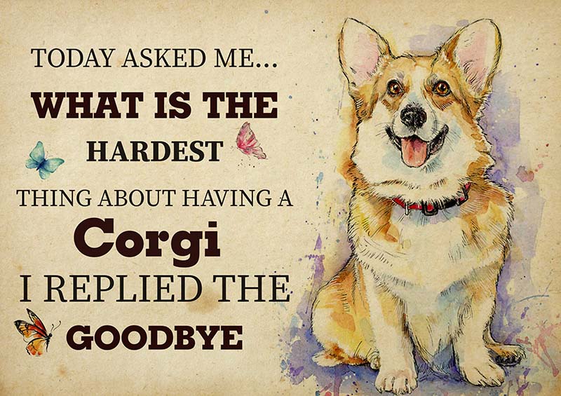 The Hardest Thing About Having A Corgi Dog I Replied The Goodbye-TT2409