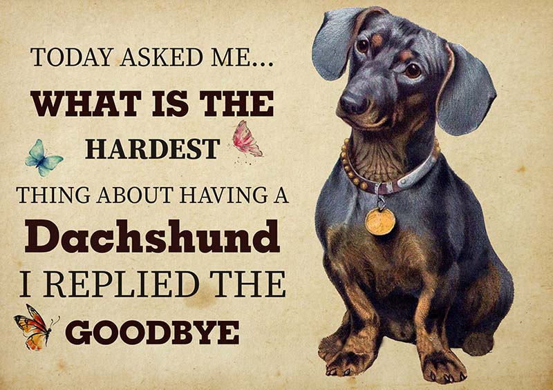 The Hardest Thing About Having A Dachshund Dog I Replied The Goodbye-TT2409
