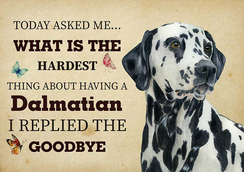 The Hardest Thing About Having A Dalmatian Dog I Replied The Goodbye-TT2409