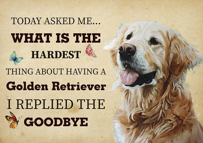 The Hardest Thing About Having A Golden Retriever Dog I Replied The Goodbye-TT2409