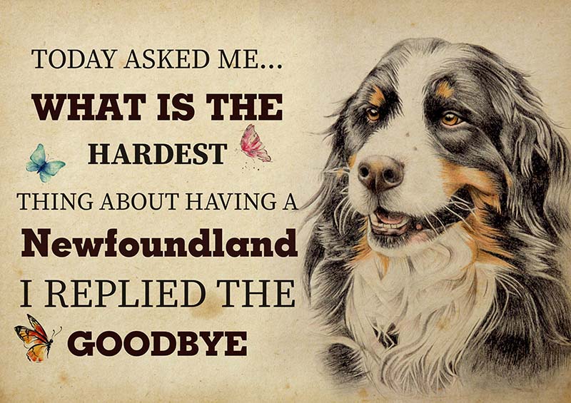 The Hardest Thing About Having A Newfoundland Dog I Replied The Goodbye-TT2409