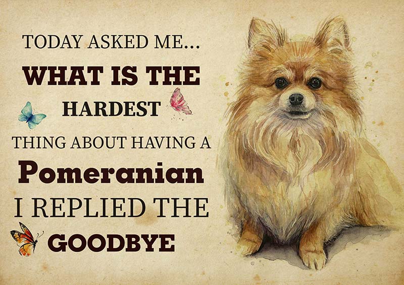 The Hardest Thing About Having A PPomeranian Dog I Replied The Goodbye-TT2409