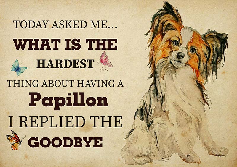 The Hardest Thing About Having A Papillon Dog I Replied The Goodbye-TT2409