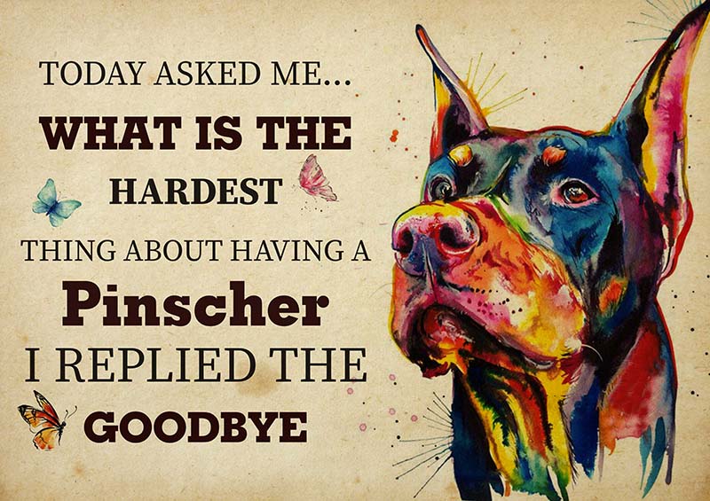 The Hardest Thing About Having A Pinscher Dog I Replied The Goodbye-TT2409