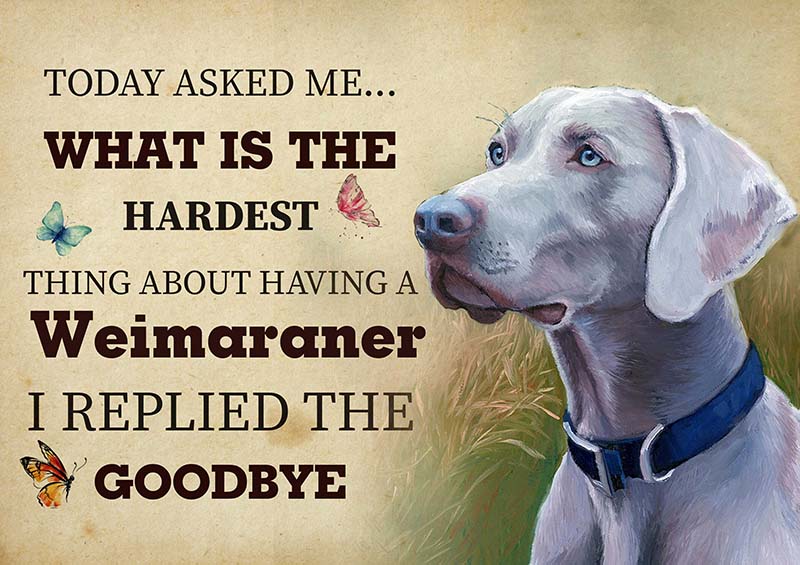 The Hardest Thing About Having A Weimaraner Dog I Replied The Goodbye-TT2409