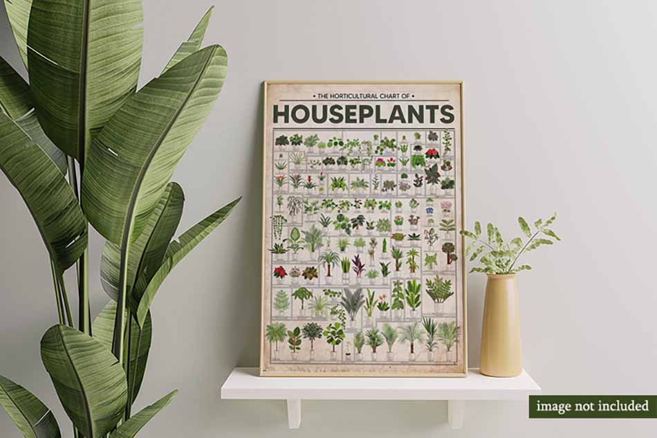 The Horticultural Chart Of Houseplants-MH3108