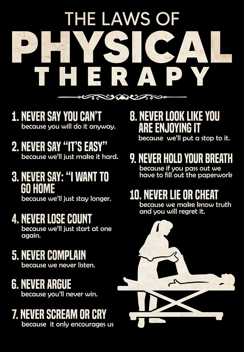 The Laws Of Physical Therapy Funny For Men Woman Home Art Wall MH0109