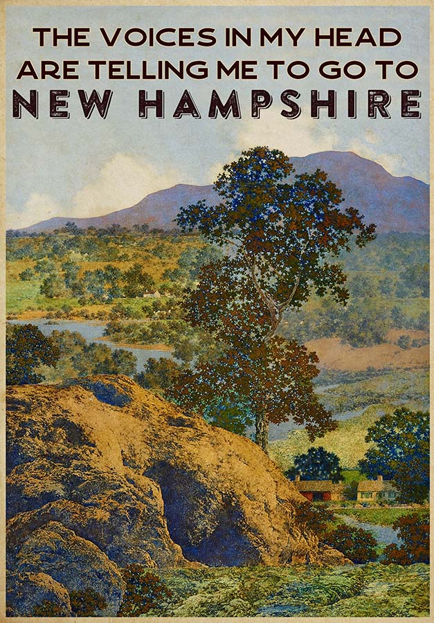 The Voice In My Head Are Telling Me To Go To New Hampshire TT0309