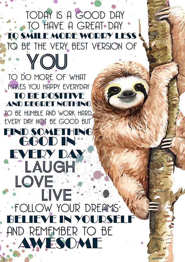 Today Is A Good Day To Have A Great Day Cute Sloth TT1009