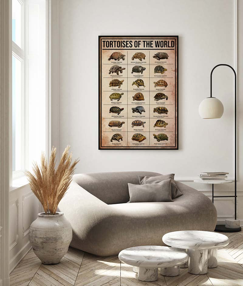 Skitongifts Wall Decoration, Home Decor, Decoration Room Tortoises Of The World-MH2509