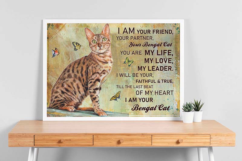 Tuxedo Cat I Am Your Friend Your Partner TT1409