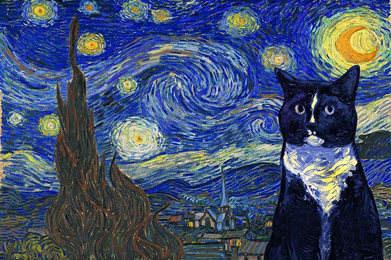 Tuxedo Cat Van Gogh Style Starry Night-TT0409