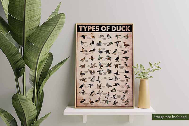 Types Of Duck Funny MH1009