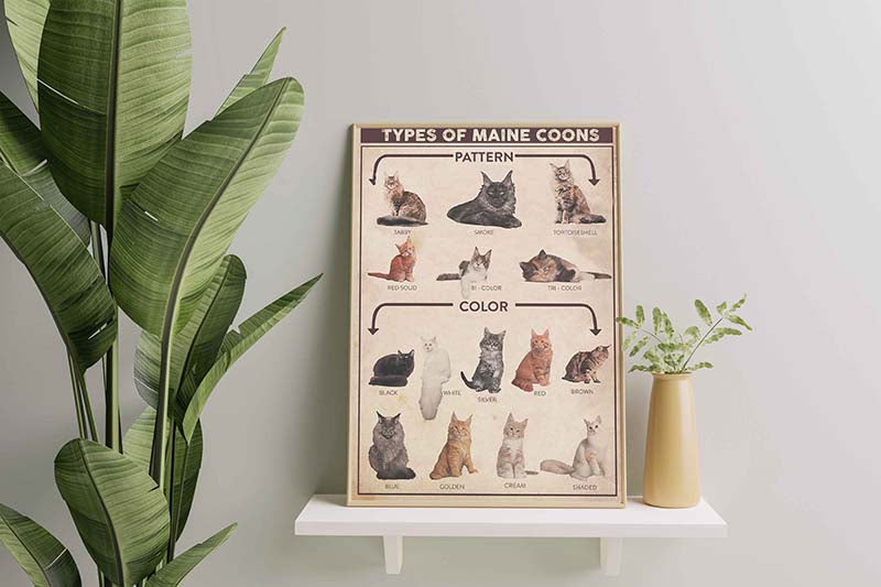 Skitongifts Wall Decoration, Home Decor, Decoration Room Types of Maine Coon Cat Vertical Pattern & Color For Cat Lover Men Women-TT0610
