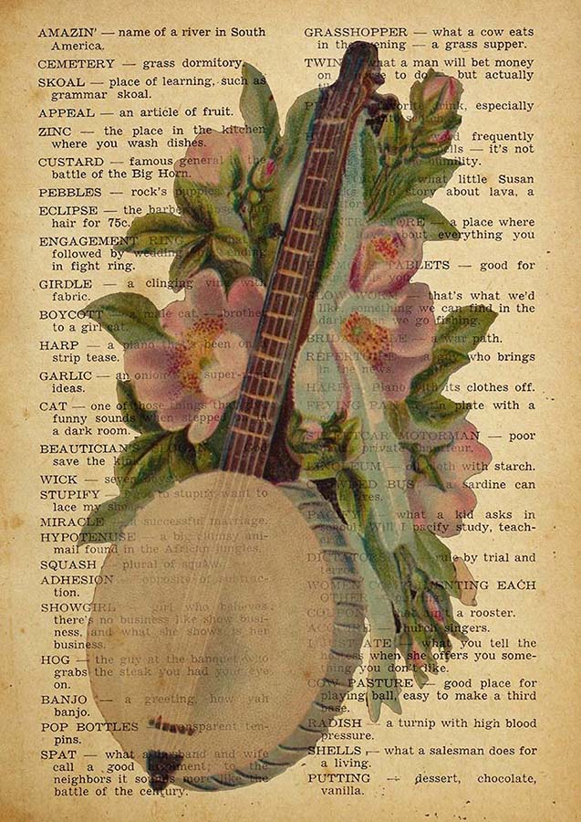 Vintage Banjo Dictionary Orawley Root Flower TT0909