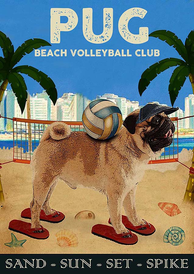 Vintage Beach Volleyball Clubt 1972 Pug Sand Sun Set Spike-TT0610