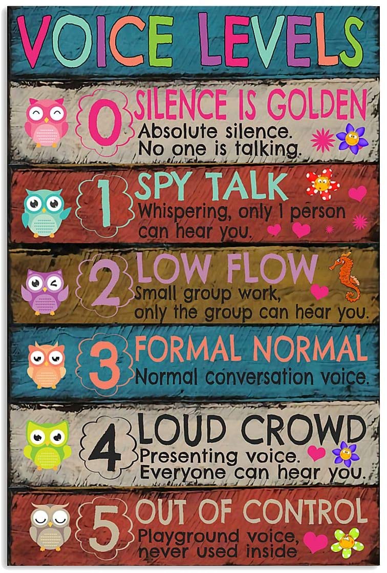 Voice Levels Colorful Owls Classroom Kindergarten