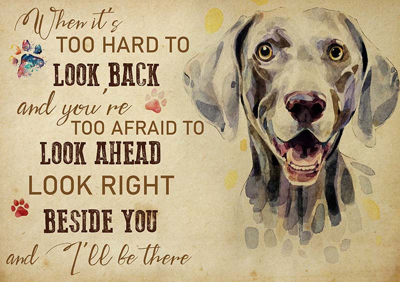 Weimaraner When It's Too Hard to Look Back-TT2009