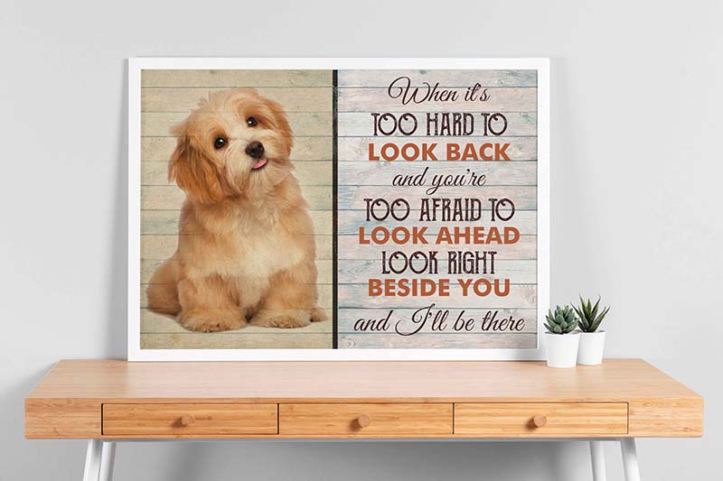 When It's Too Hard To Look Back And You're Too Afraid To Look Ahead-TT2603