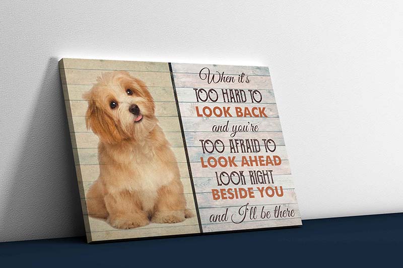 Skitongifts Wall Decoration, Home Decor, Decoration Room When It's Too Hard To Look Back And You're Too Afraid To Look Ahead-TT2603