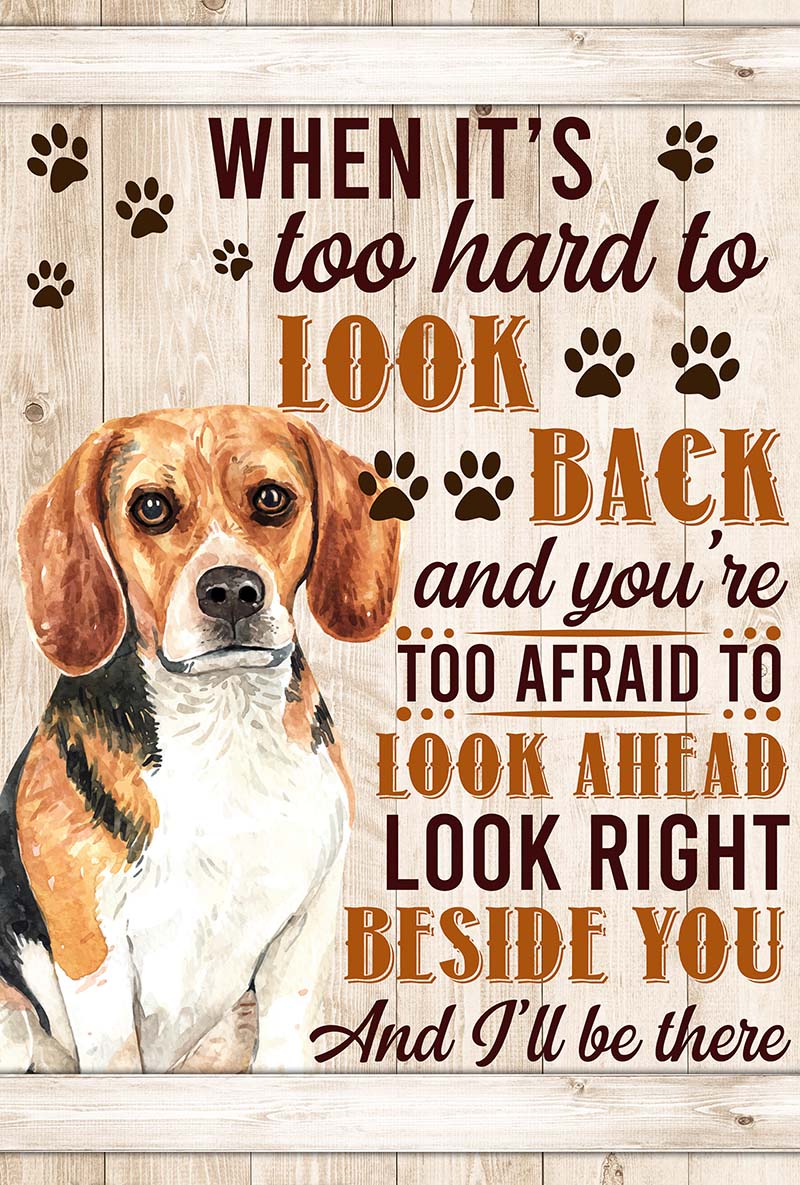 When It's Too Hard To Look Back And You're Too Afraid To Look Ahead Beagle-VT0905
