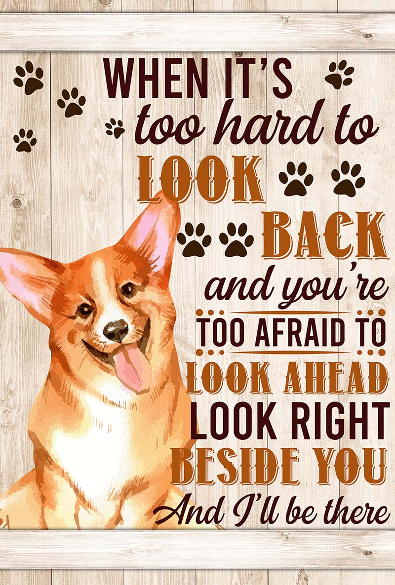 When It's Too Hard To Look Back And You're Too Afraid To Look Ahead Corgi-VT0905