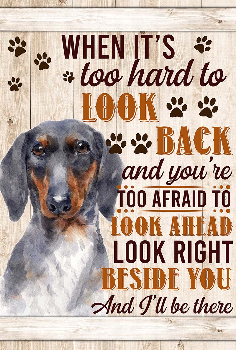 When It's Too Hard To Look Back And You're Too Afraid To Look Ahead Dachshund-VT0905