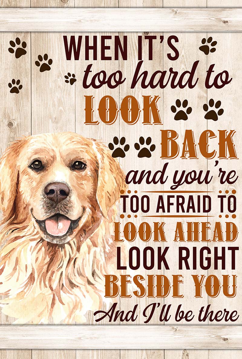 When It's Too Hard To Look Back And You're Too Afraid To Look Ahead Golden Retriever-VT0905