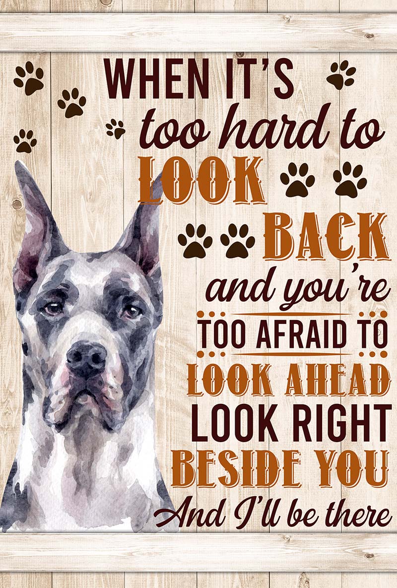 When It's Too Hard To Look Back And You're Too Afraid To Look Ahead Great Dane-VT0905