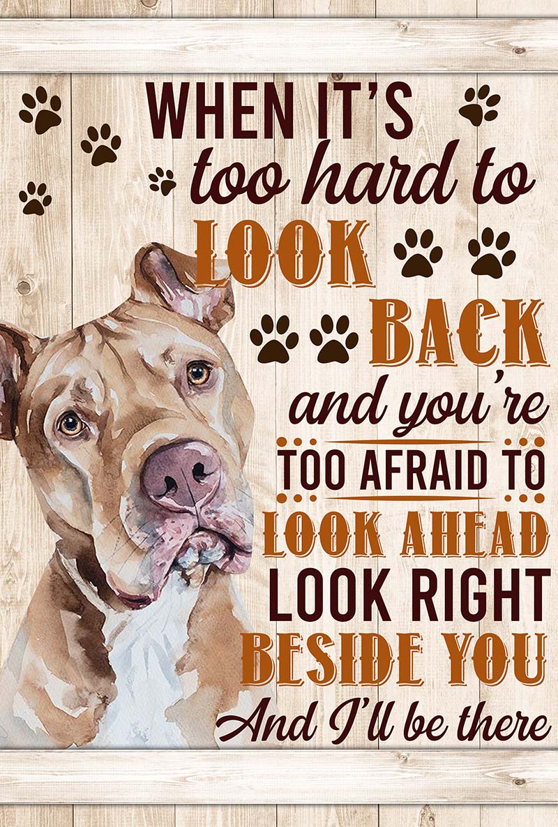 When It's Too Hard To Look Back And You're Too Afraid To Look Ahead Pit-bull-VT0905