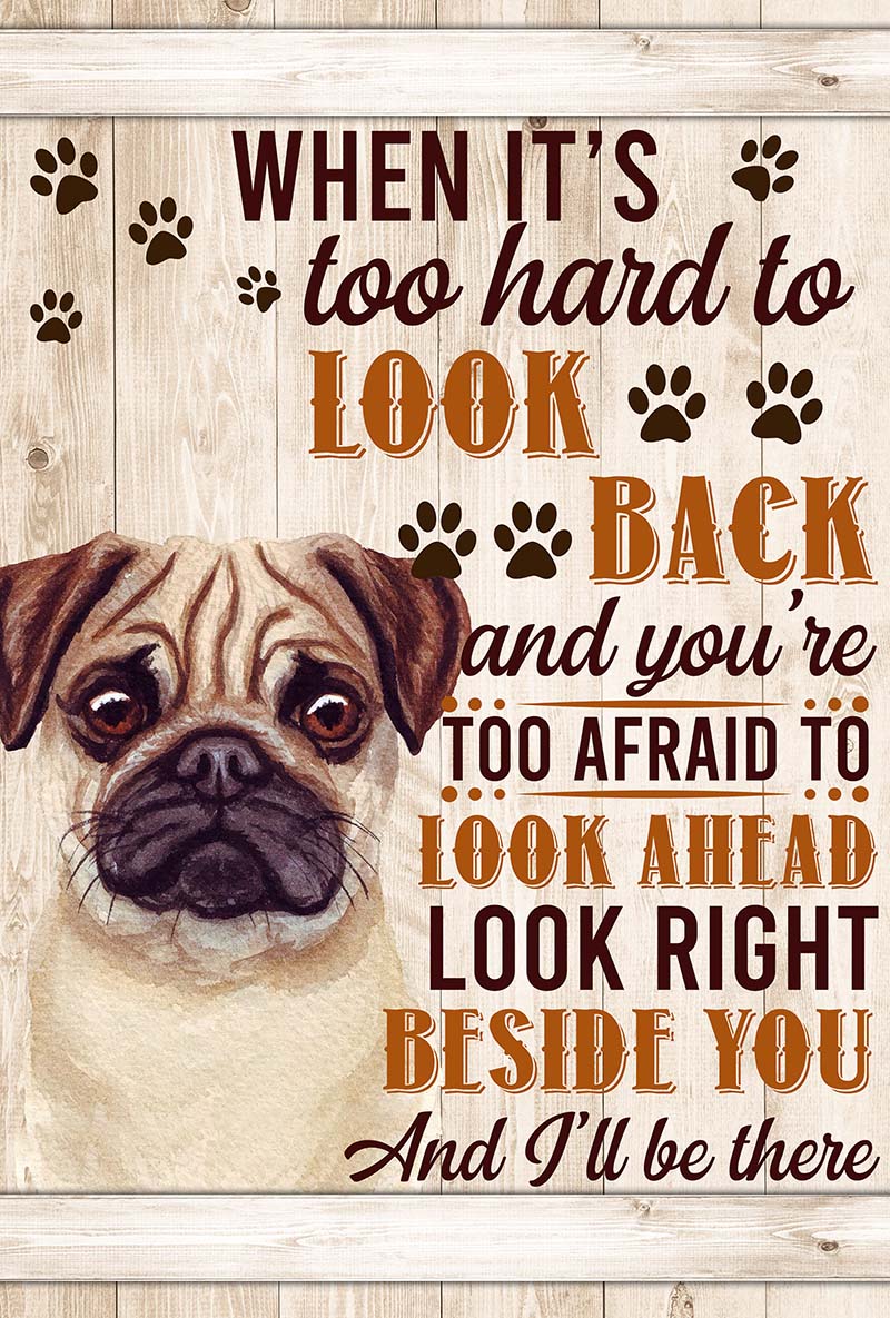 When It's Too Hard To Look Back And You're Too Afraid To Look Ahead Pug-VT0905