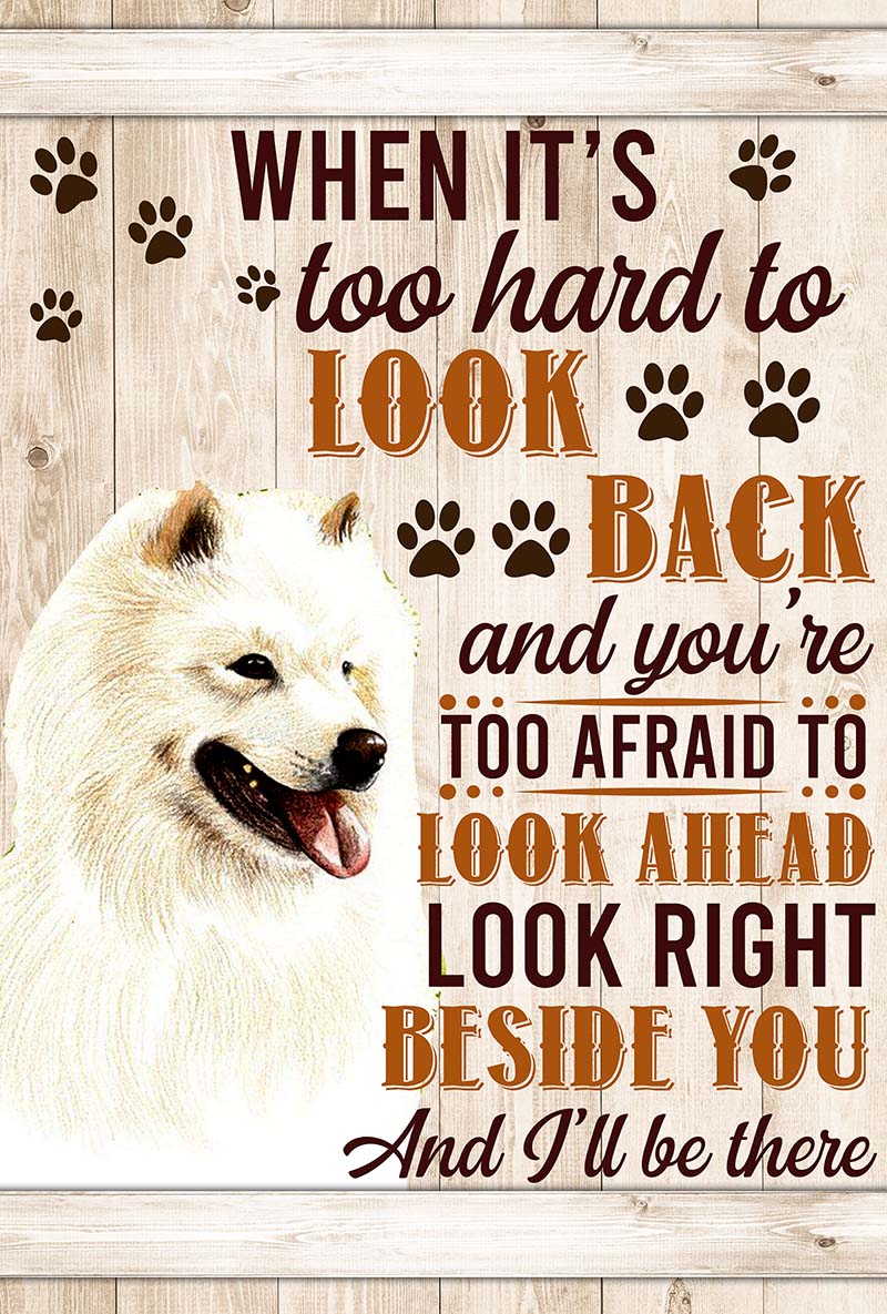 When It's Too Hard To Look Back And You're Too Afraid To Look Ahead Samoyed-VT0905