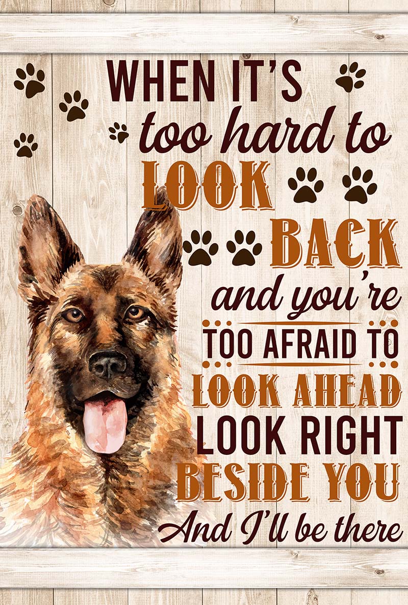 When It's Too Hard To Look Back And You're Too Afraid To Look Ahead  German Shepherds-VT0905